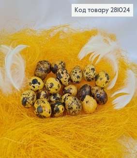 Набір з перепелиних яєць зі шкарлупи 20 шт 281024 фото