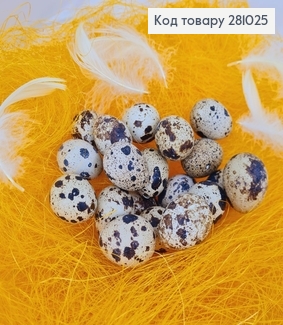 Набір з перепелиних яєць зі шкарлупи 60 шт 281025 фото